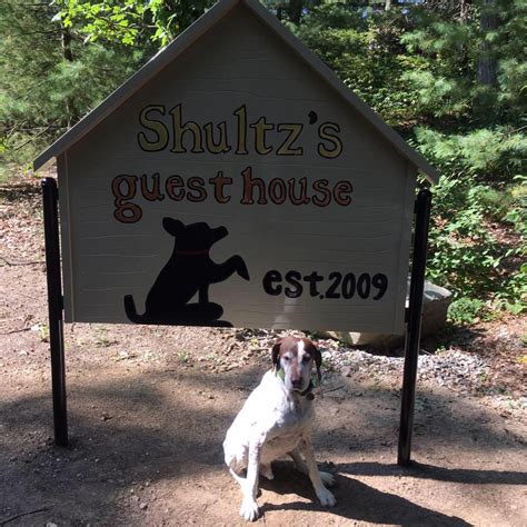 shultz guest house|schultz guest house dogs.